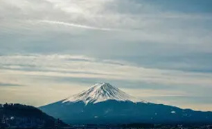 全球禁塑令-日本减塑新规（纸浆模塑利好消息）