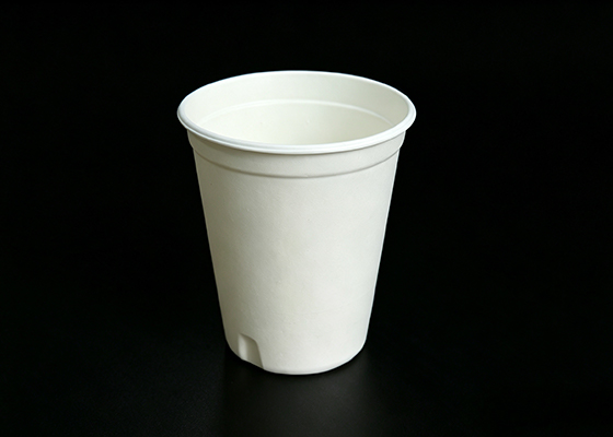 纸浆模塑杯子12oz